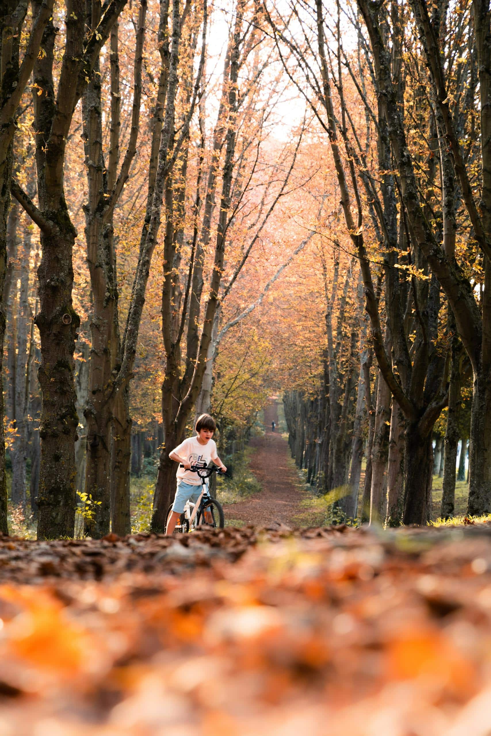 Child biking through a scenic autumn pathway lined with orange-leaved trees in Sceaux, France.
